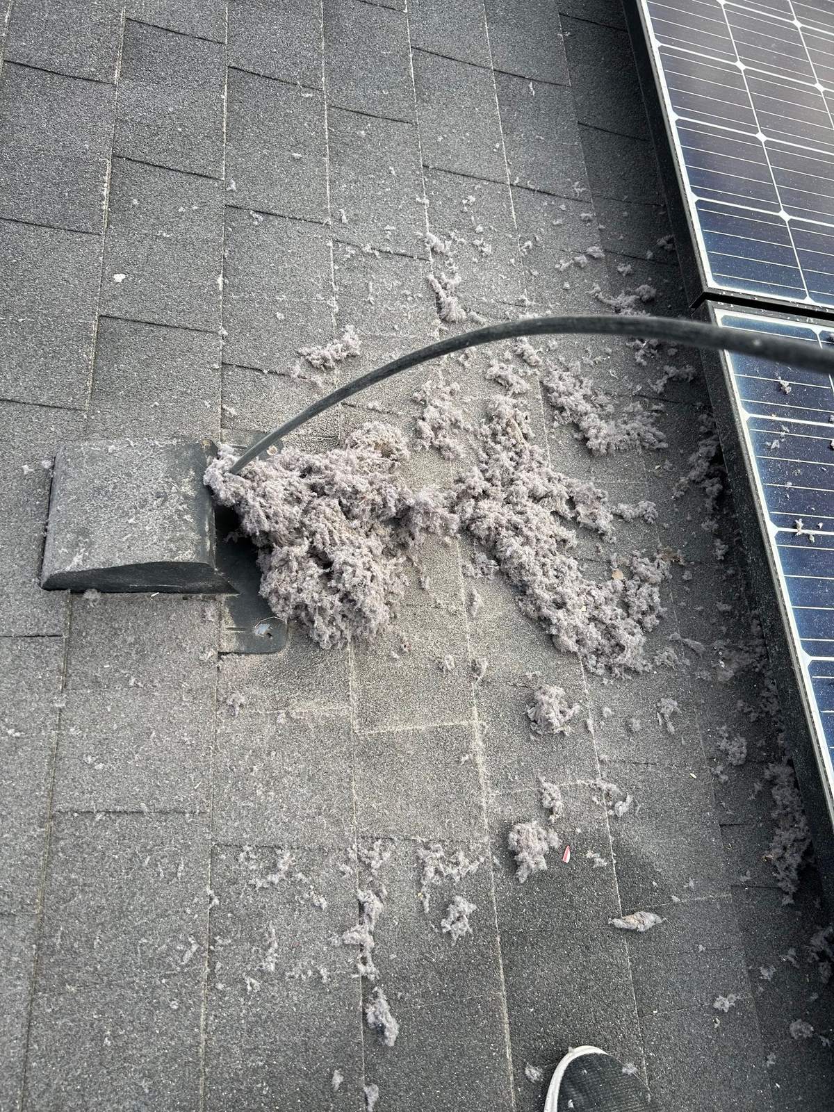 Before: Dryer vent — lint packed at the roof cap