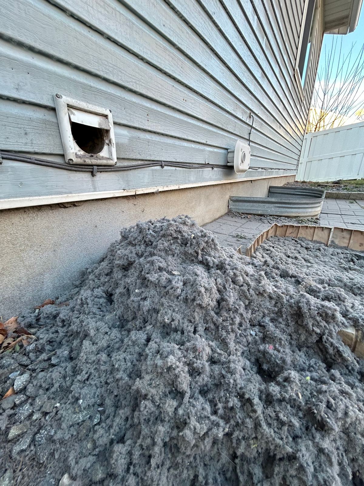 After: Dryer vent — what came out of one wall vent